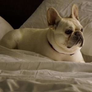 Meet your Posher, Nancy